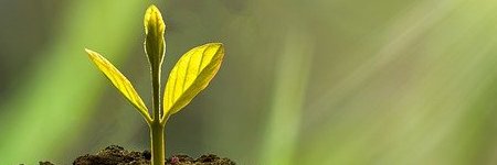 Energie update Geel Zaad levenspad 13-25 maart 2024: Extra groeikracht